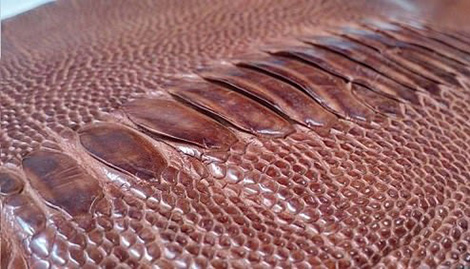 Ô tô tải chở hơn 1 tấn da đà điểu ôi thiu đi bán