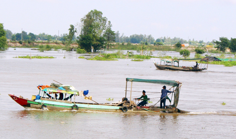 Cần kiên quyết xử lý ghe cào điện tận diệt cá đồng mùa nước nổi