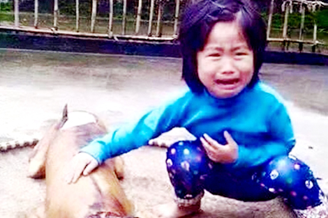 Một bức ảnh thay cho nhiều lời nói