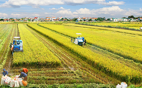 Lưu tâm đến “nút thắt” của ngành nông nghiệp