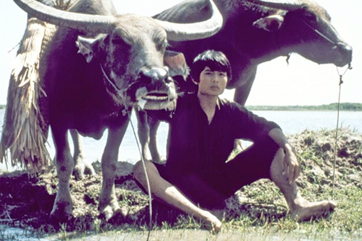 Gương mặt làng quê trong phim Việt