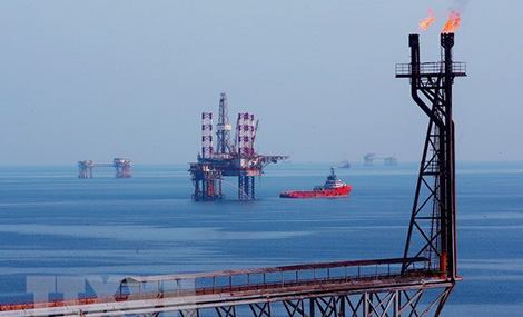 Đẩy mạnh tiến độ thực hiện các dự án trọng điểm về dầu khí