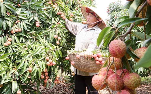 Cách mạng công nghiệp 4.0 hứa hẹn tăng quy mô GDP