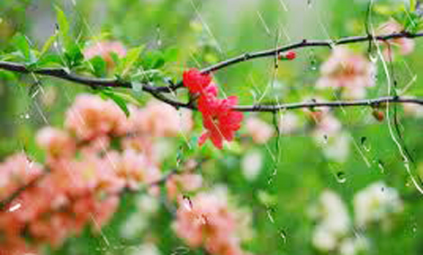 Tiếng mưa trong thơ của tướng Công an