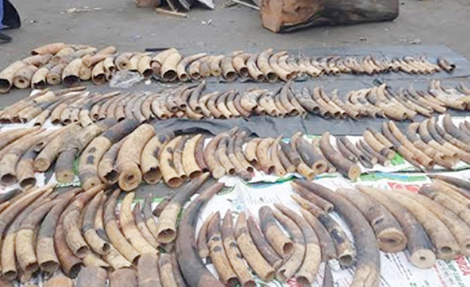 Tặng bằng khen của Thủ tướng Chính phủ cho 2 cán bộ Hải quan Đà Nẵng