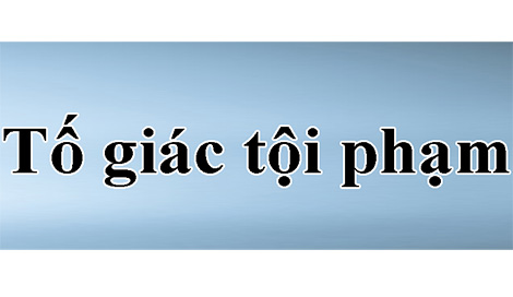 Cơ quan điều tra trong CAND tiếp nhận tố giác, tin báo về tội phạm, kiến nghị khởi tố 24/24h