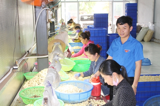 Thanh niên vượt khó, tạo việc làm cho nhiều lao động nghèo