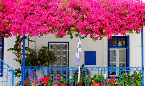 Có một chuyện tình hoa giấy