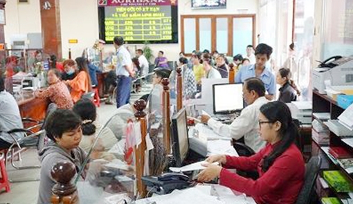 Agribank tích cực hỗ trợ người nông dân trồng hồ tiêu