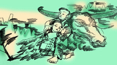 Cây sổ non mồ côi