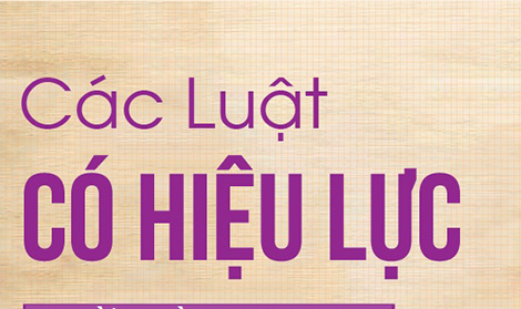 Sáu luật có hiệu lực thi hành từ ngày 1-7-2019