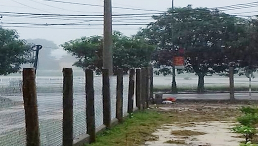 Đi bắt cá dưới trời mưa người đàn ông bị sét đánh tử vong