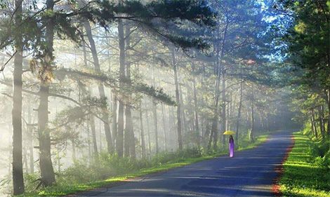 Khi nhà báo làm thơ tặng vợ