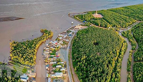 Kỷ luật 2 cán bộ Vườn quốc gia Mũi Cà Mau