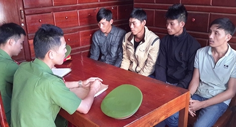 Tạm giam nhóm đối tượng hủy hoại rừng thông phòng hộ cảnh quan Quốc lộ 14