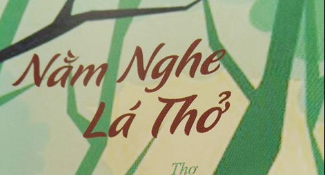 Đời tóc, đời thơ, đời người