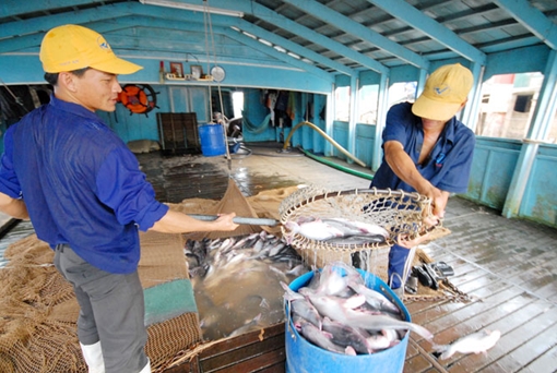 Xuất khẩu thủy sản khó chạm mục tiêu 10 tỷ USD