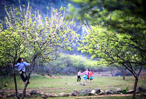 Bản mới vào xuân