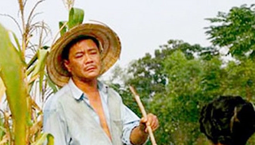 Vinh quang và vấp ngã