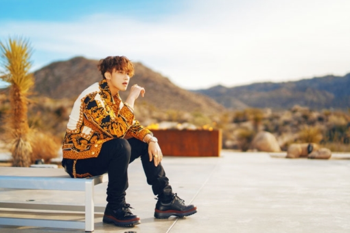 Bức tranh âm nhạc Việt Nam đương đại