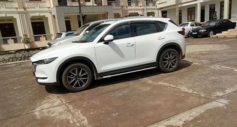 Tìm chủ sở hữu tang vật vụ đá gà trong khu du lịch sinh thái