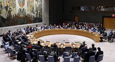 Việt Nam kêu gọi quan tâm đến những đối tượng dễ bị tổn thương vì COVID-19