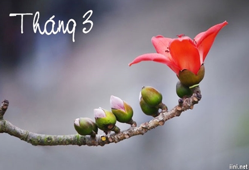 Đoản khúc tháng ba