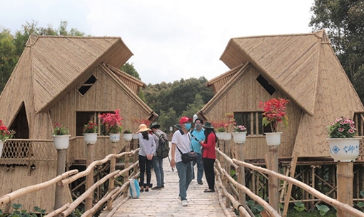 “Thịnh vượng” Trà Sư cho ngày trở lại