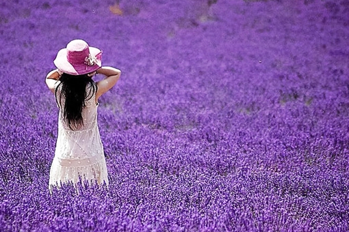 Một buổi chiều rực rỡ