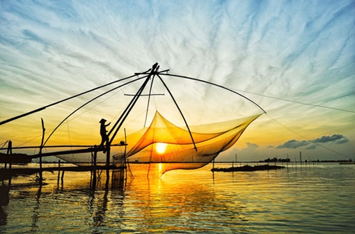 Khát những ngày xanh