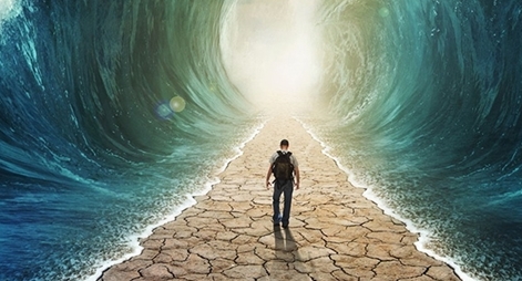 Trước biến động, tại sao phải...lập một hàng rào?