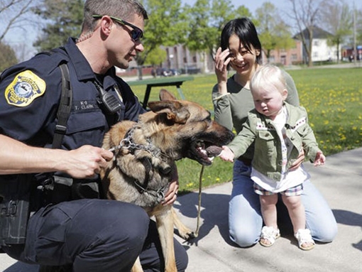 Những người bạn trung thành của cảnh sát