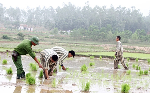 Tìm lại mùa xuân