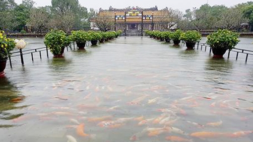 Chung sống với thiên nhiên- liệu còn kịp?