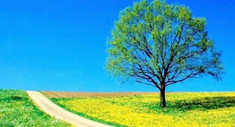 Ngụy trí thức!...