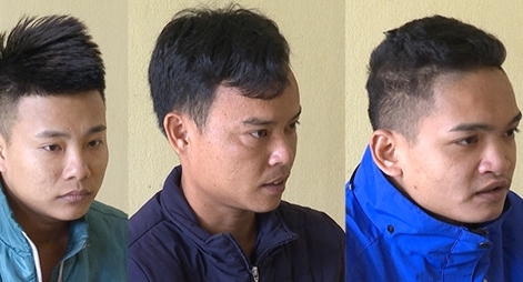 Lừa đảo bán lan đột biến HO