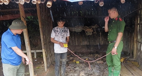 Truy tìm hung thủ giữa rừng sâu