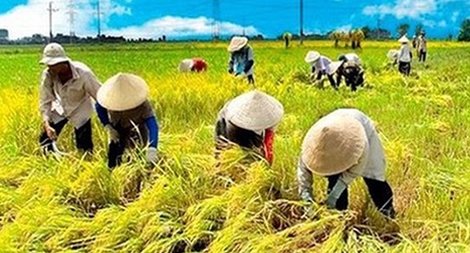 Giảm nghèo: “Cuộc chiến” còn nhiều thách thức