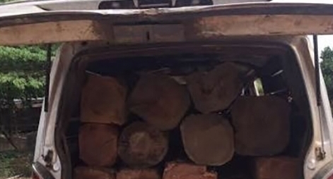 Phát hiện các vụ tập kết, vận chuyển gỗ lậu ở khu vực biên giới