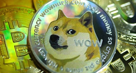 Đưa chó lên mặt trăng và nghịch lý làm giàu thời Covid