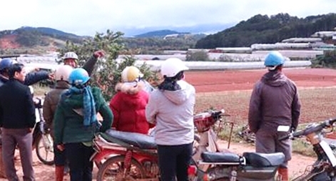 Nông dân khổ vì doanh nghiệp thuê đất không trả tiền