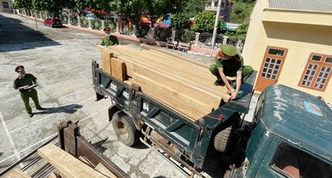  Liên tiếp bắt giữ các vụ vận chuyển số lượng lớn lâm sản trái phép