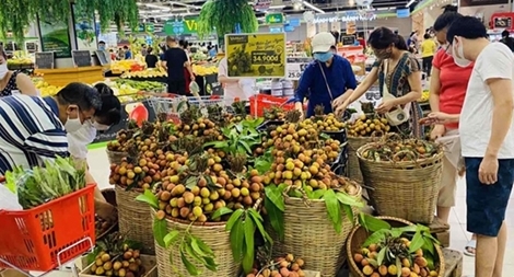 Đưa nông sản lên sàn thương mại mở rộng cơ hội cho hàng Việt