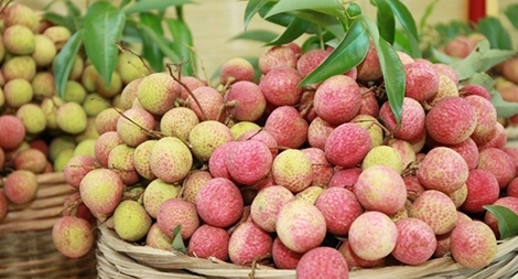 Sự tự tôn của vải thiều