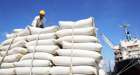 Lập đoàn công tác kiểm tra 5 doanh nghiệp xuất, nhập khẩu gạo