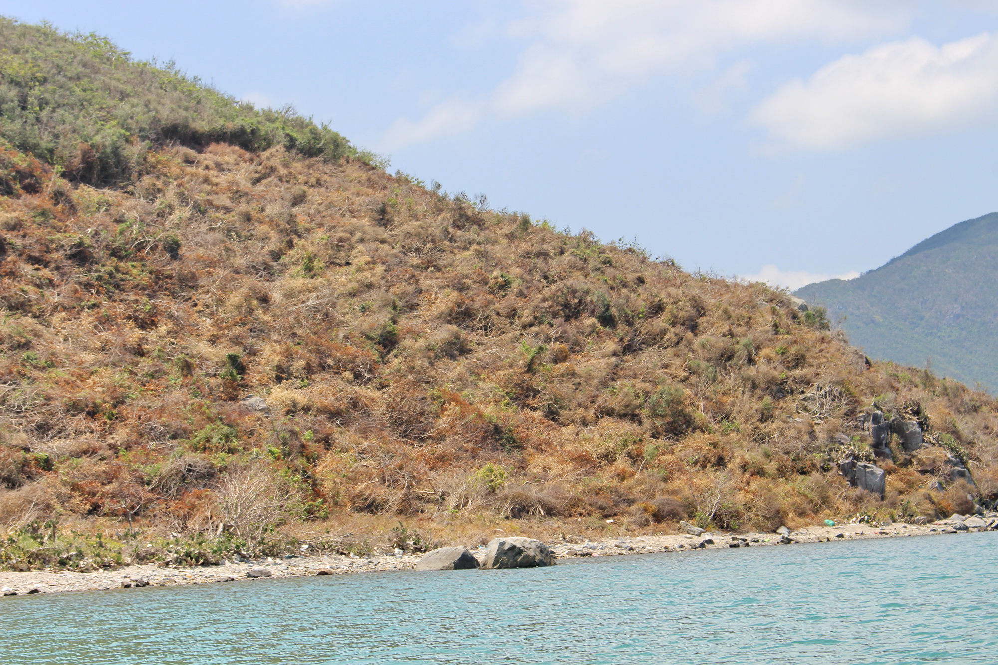  Đình chỉ và tạm đình chỉ chức vụ Bí thư Đảng ủy, Chủ tịch UBND xã Vạn Thạnh