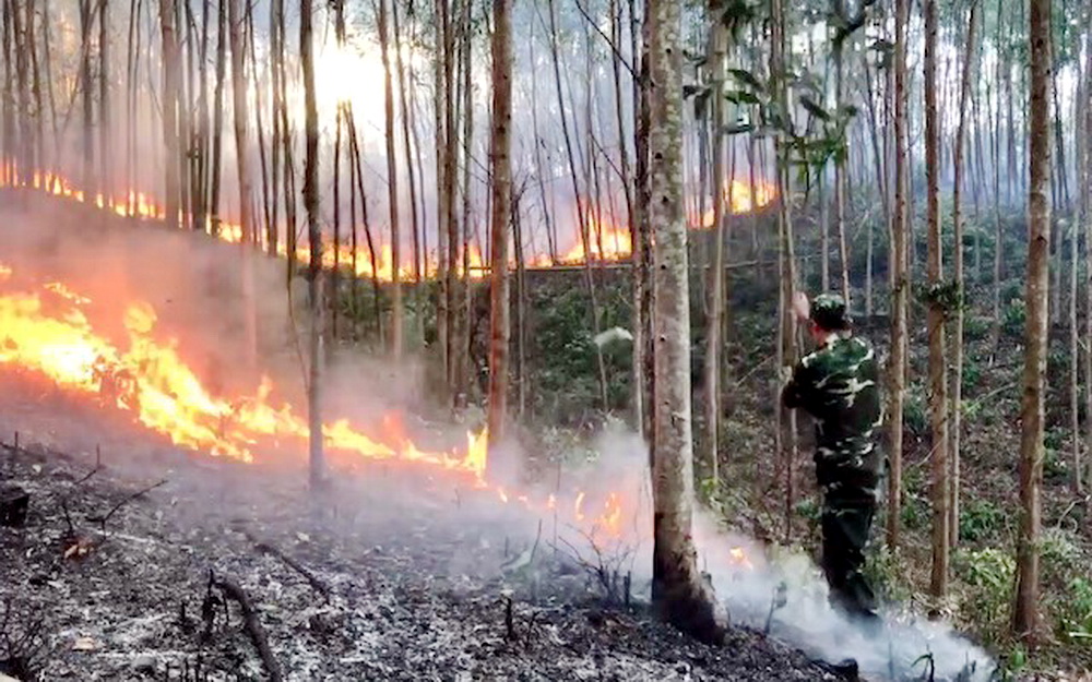 Hoả hoạn thiêu rụi hàng chục hec-ta rừng phòng hộ và rừng trồng