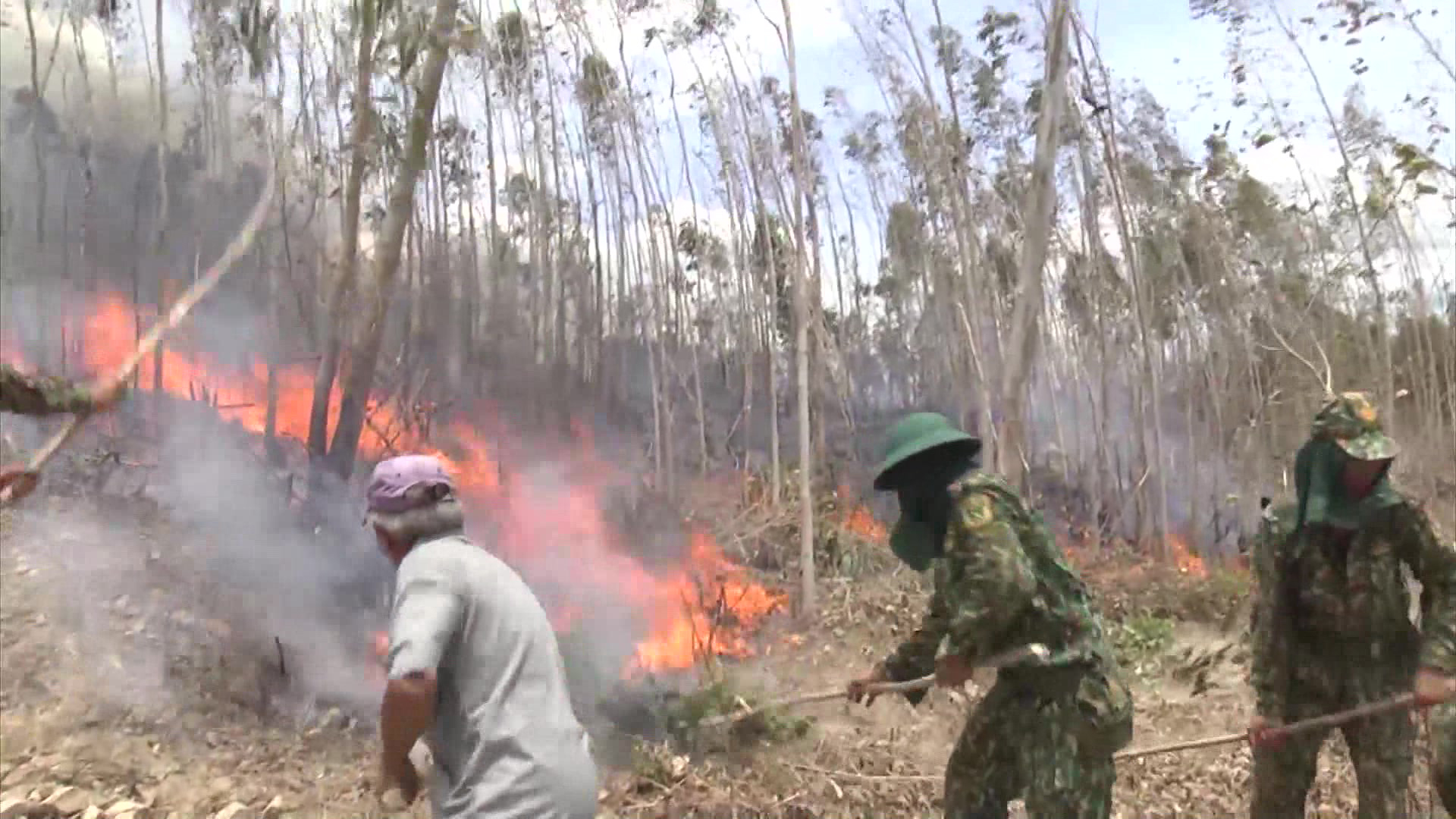 Huy động hơn 500 người chữa cháy rừng ở Phú Yên