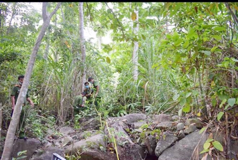 Vào rừng tìm mật ong, tá hỏa thấy xác người đang phân hủy