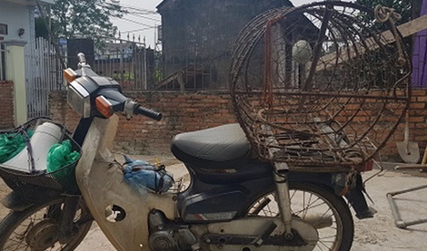 Tử vong khi đang chờ mua chó